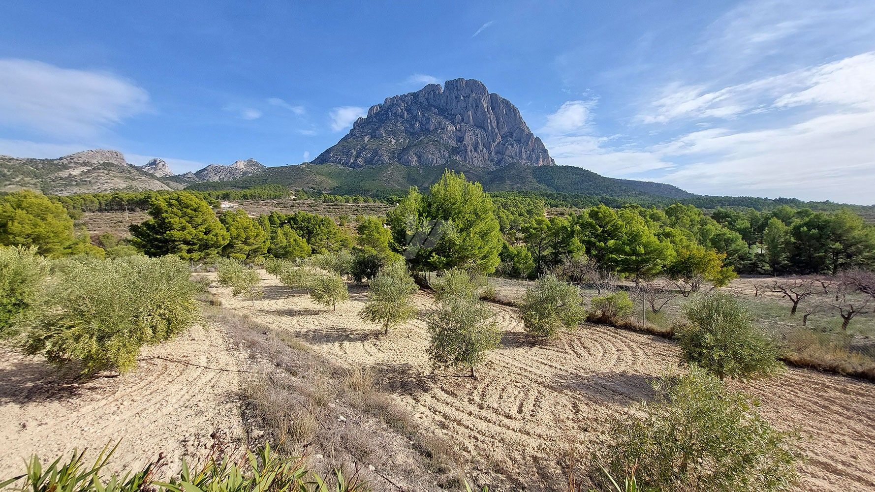 Finca rustica en venta con vistas al mar y montaña en Finestrat, Costa Blanca